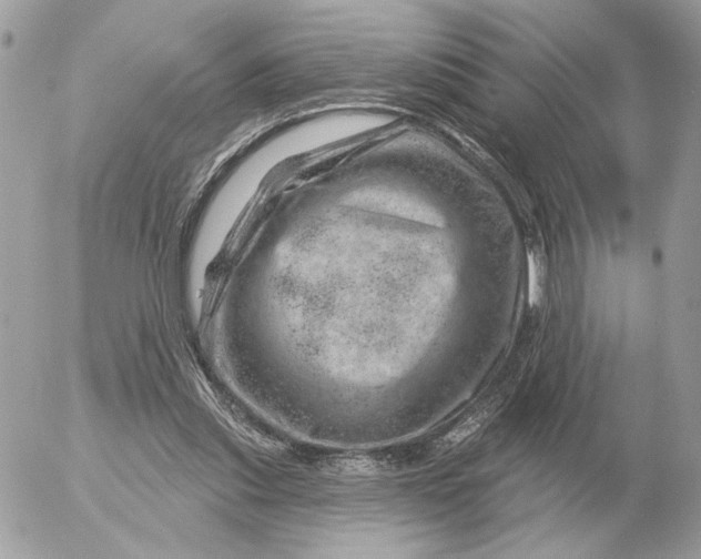 X0000052640253200507221823