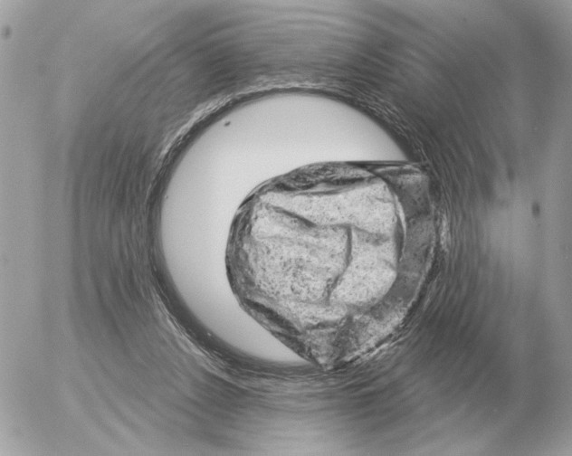 X0000052640256200507221823