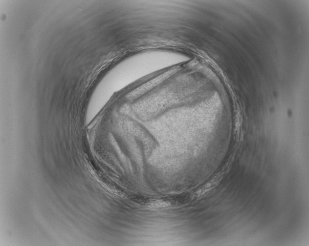 X0000052640257200507221823