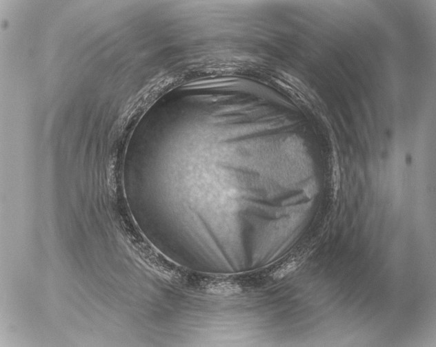 X0000052640258200507221823