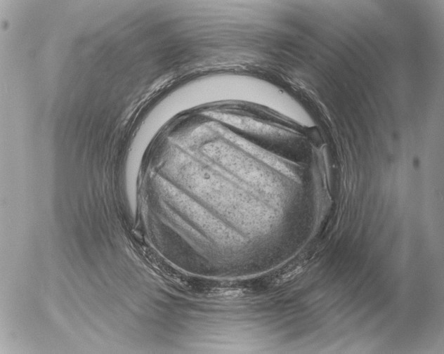 X0000052640260200507221823