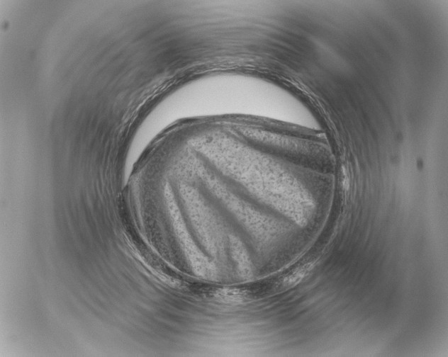 X0000052640261200507221823