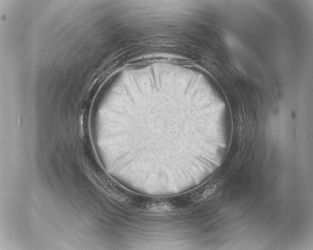 X0000052640262200507221823