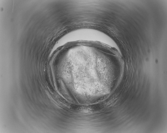 X0000052640263200507221823