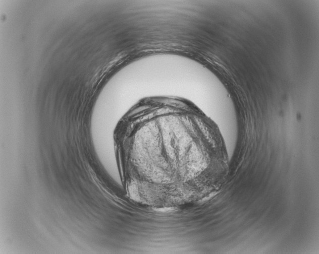 X0000052640264200507221823