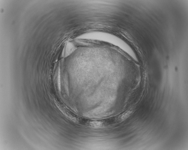 X0000052640265200507221823