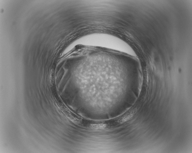 X0000052640266200507221823