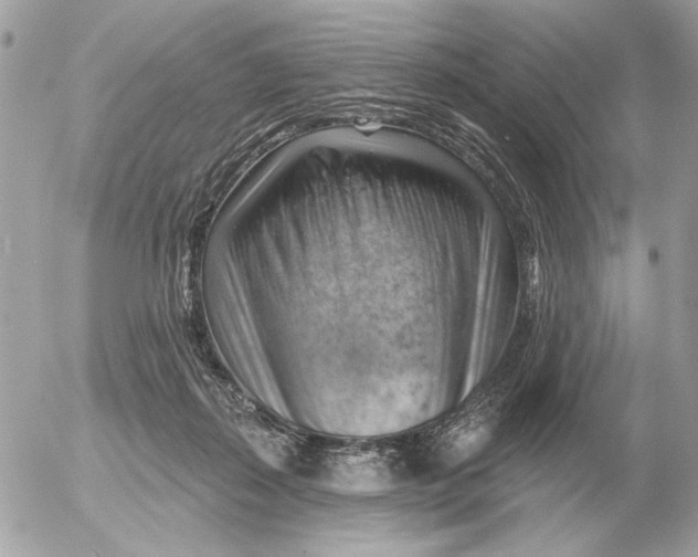 X0000052640267200507221823