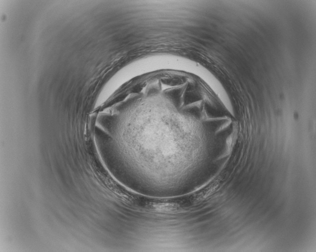 X0000052640268200507221823