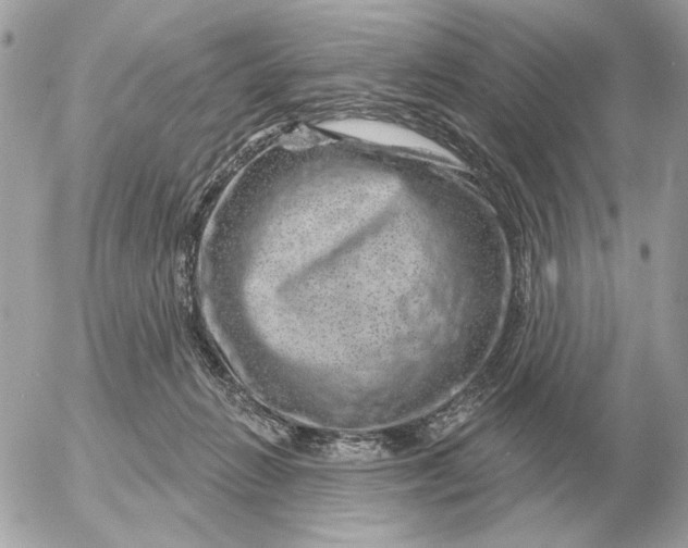 X0000052640270200507221823