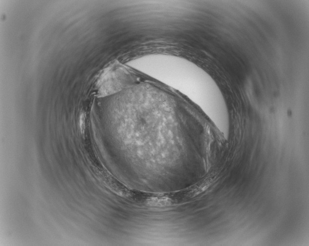 X0000052640271200507221823