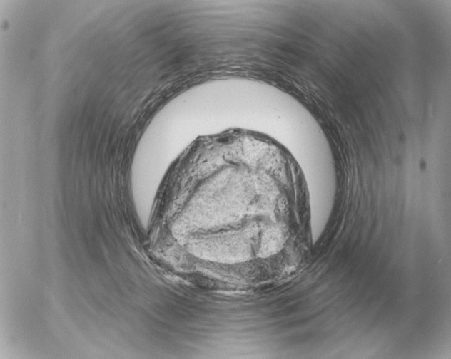 X0000052640272200507221823