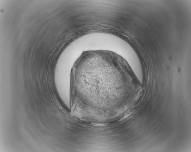 X0000052640273200507221823