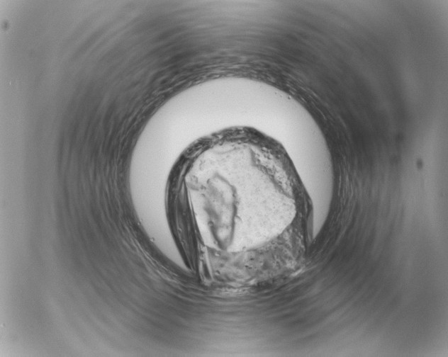 X0000052640274200507221823