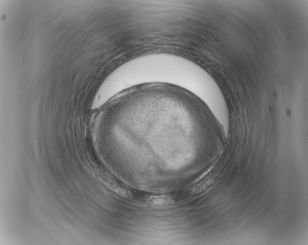 X0000052640275200507221823