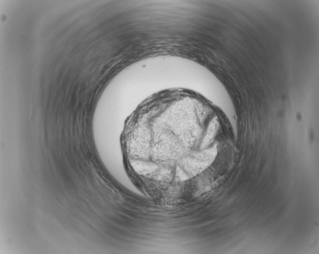 X0000052640276200507221823