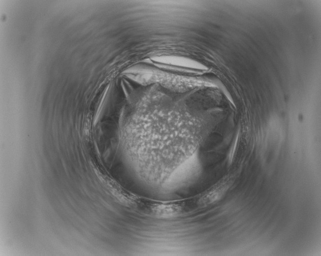 X0000052640277200507221823