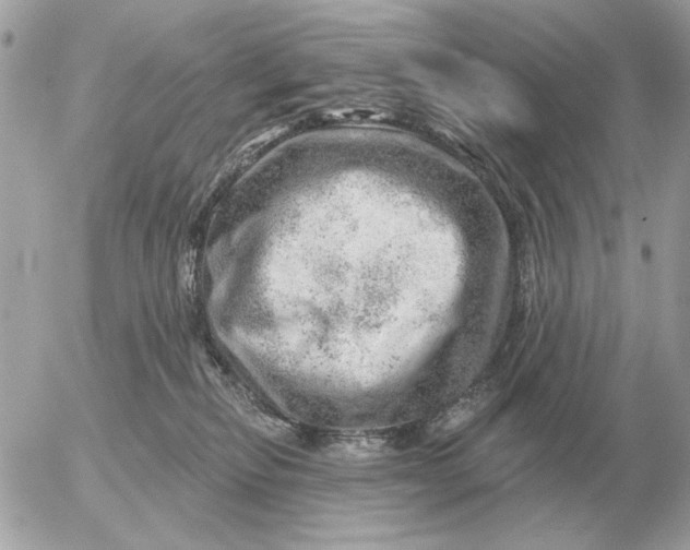 X0000052640278200507221823