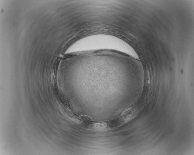 X0000052640279200507221823