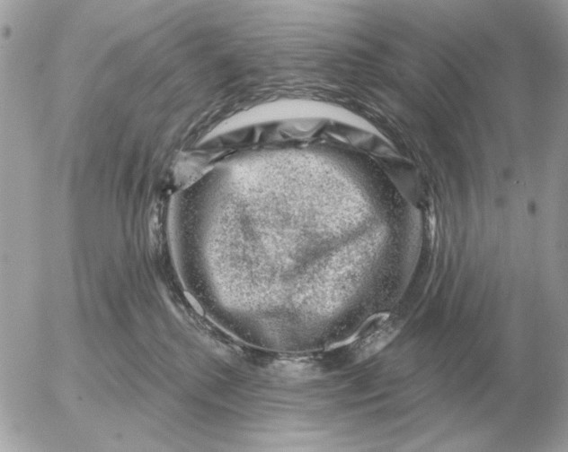 X0000052640280200507221823