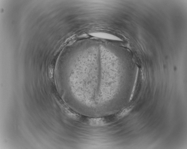 X0000052640281200507221823