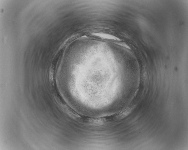 X0000052640282200507221823