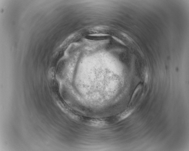 X0000052640284200507221823