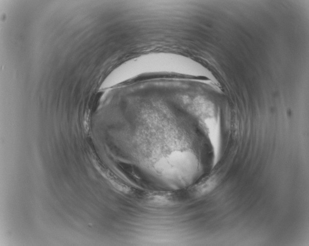 X0000052640285200507221823