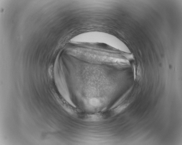 X0000052640286200507221823