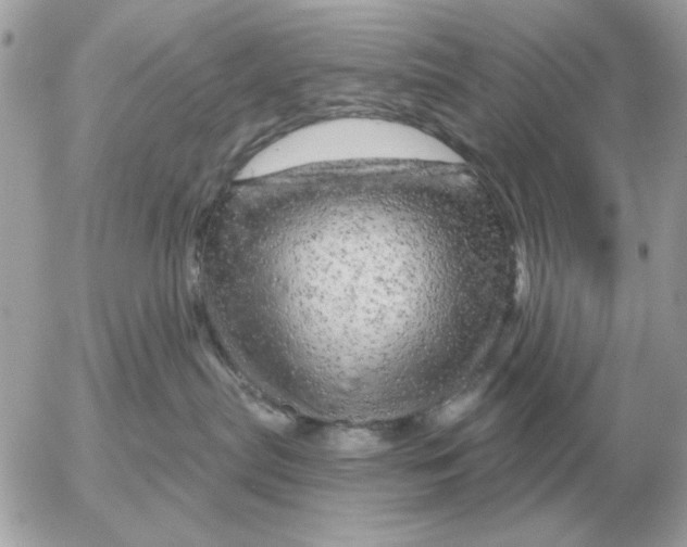 X0000052640287200507221823