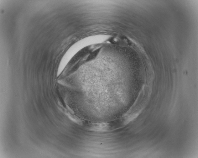 X0000052640288200507221823