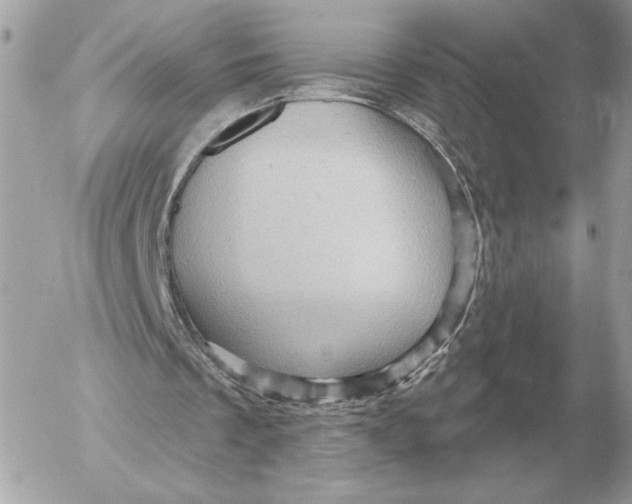 X0000052640289200507221822