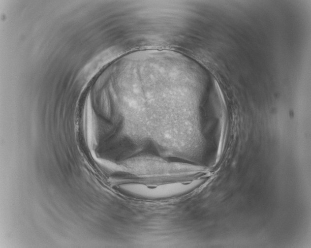 X0000052640290200507221822