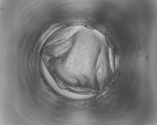 X0000052640291200507221822