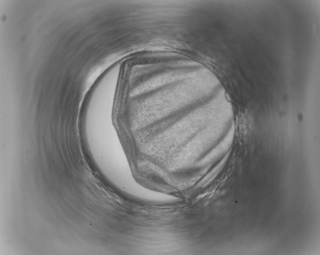 X0000052640292200507221822