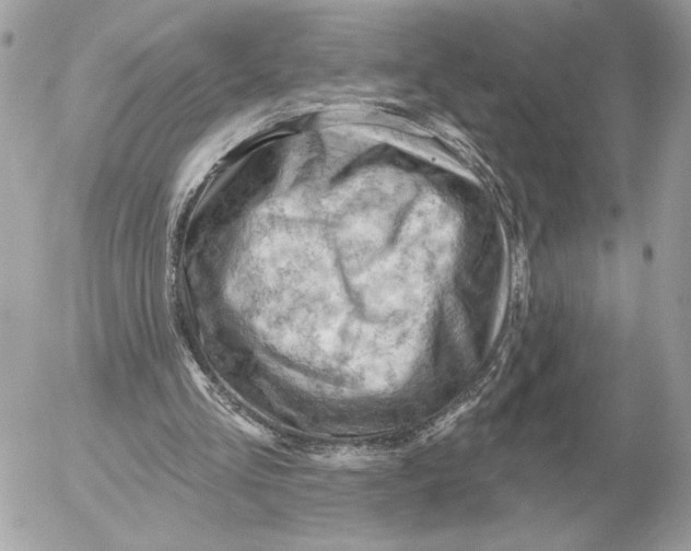 X0000052640293200507221822