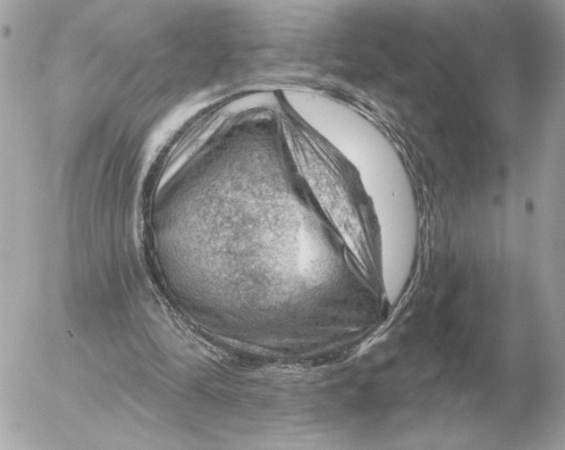 X0000052640294200507221822