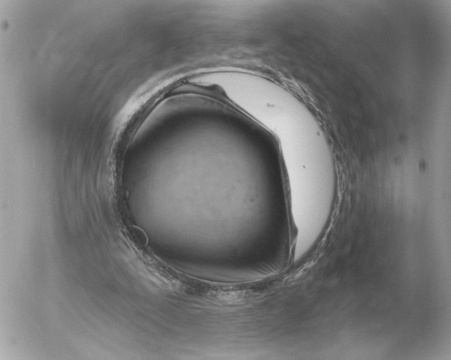 X0000052640295200507221822