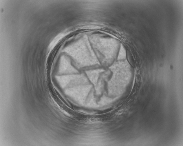 X0000052640296200507221822