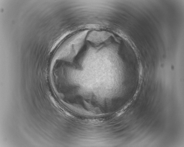 X0000052640297200507221822