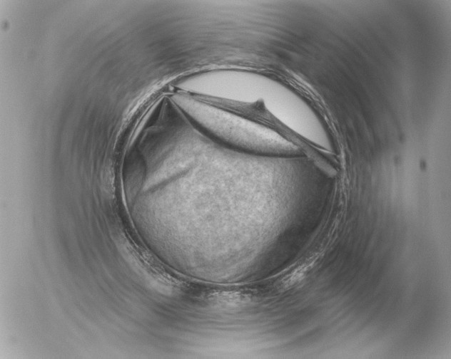 X0000052640298200507221822