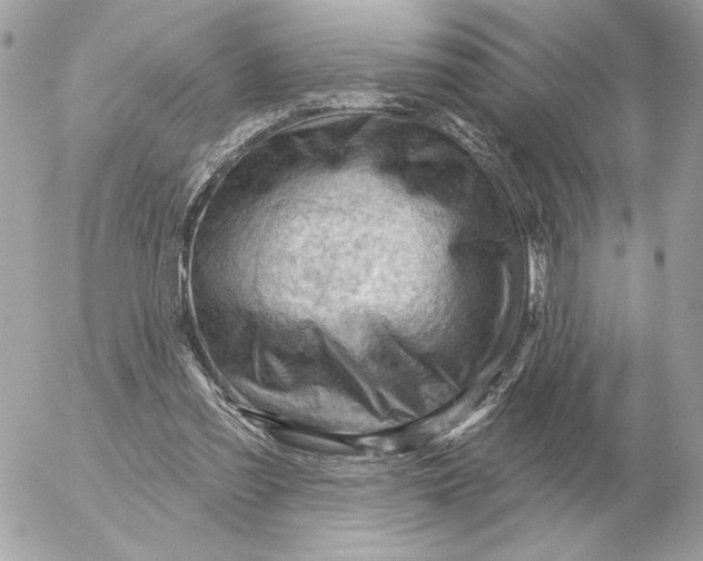 X0000052640301200507221822