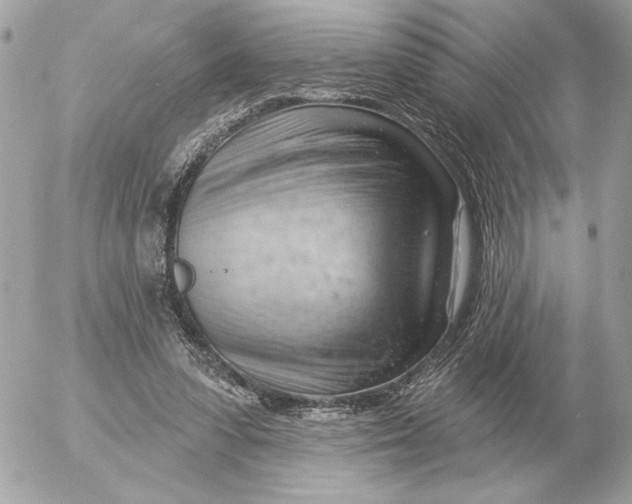 X0000052640303200507221822