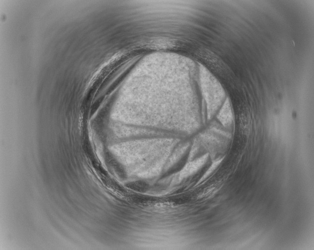 X0000052640304200507221822