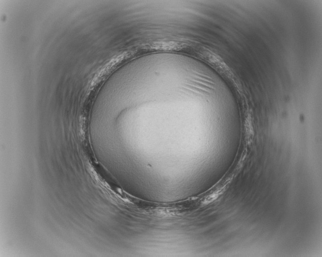 X0000052640305200507221822