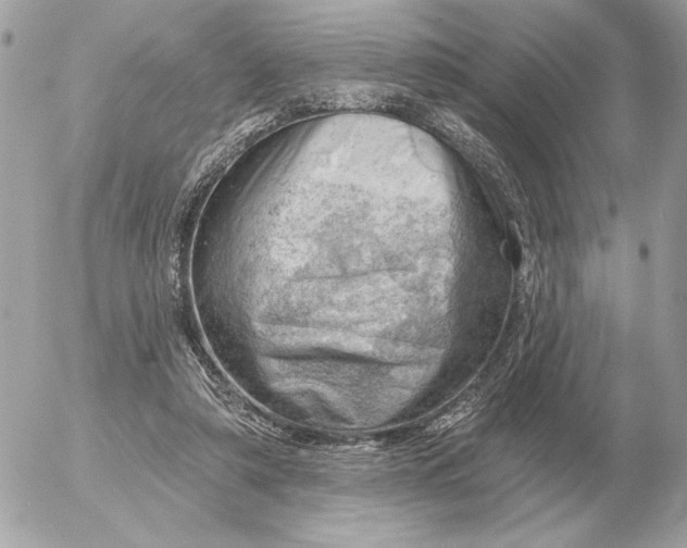 X0000052640306200507221822