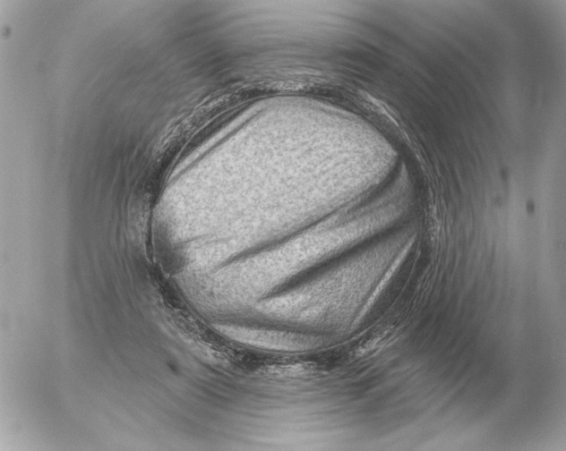 X0000052640307200507221822