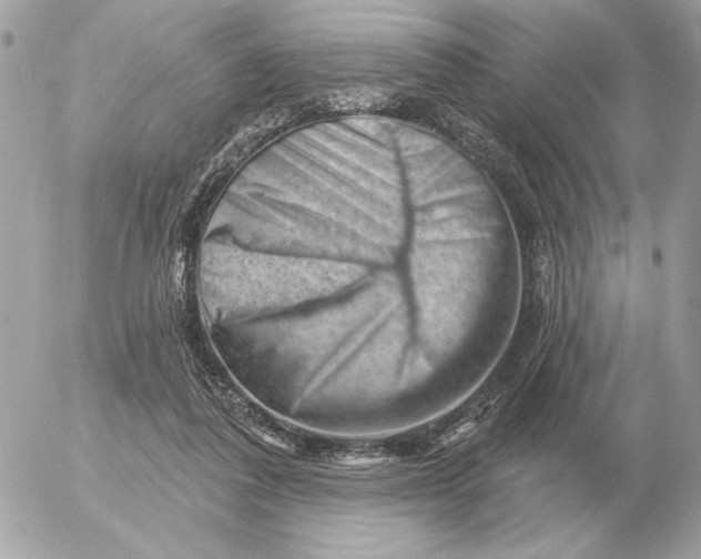 X0000052640308200507221822