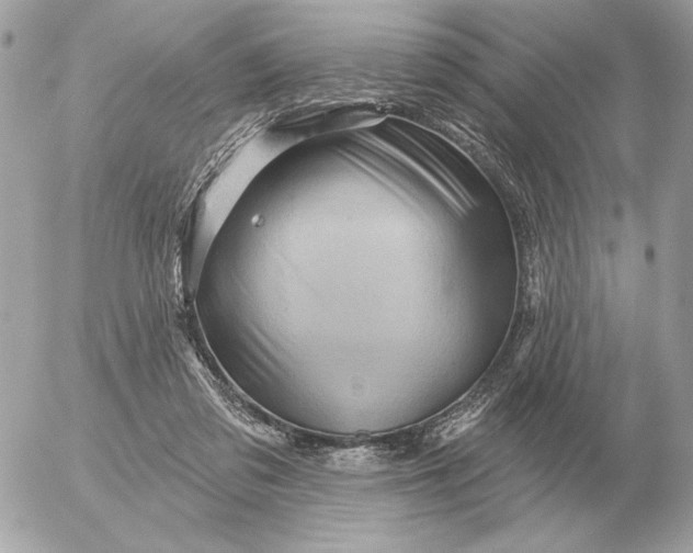 X0000052640309200507221822