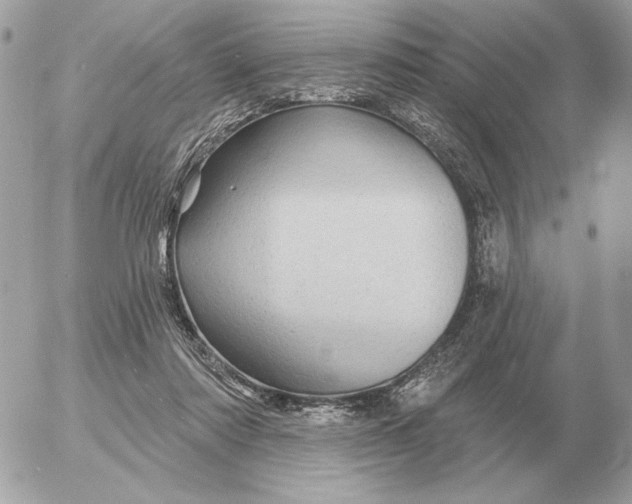 X0000052640310200507221822